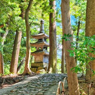 Spring Japan forest wallpaper