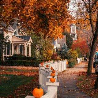 Halloween small town wallpaper