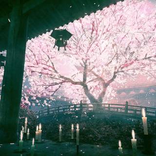 Rain sakura 4k wallpaper