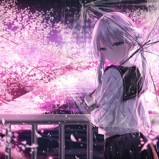 Rain sakura 4k wallpaper