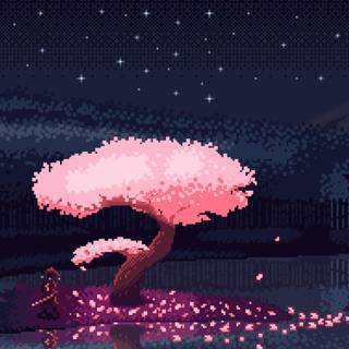 Rain sakura 4k wallpaper