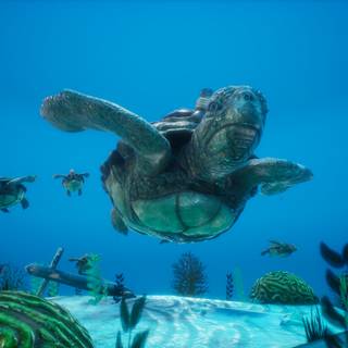 4k sea turtle wallpaper