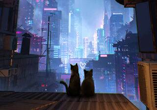 Anime cat desktop wallpaper