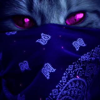 Violet bandana iPhone wallpaper