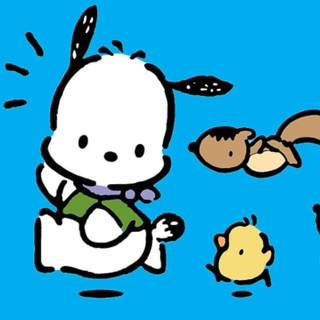 Pochacco 4k wallpaper