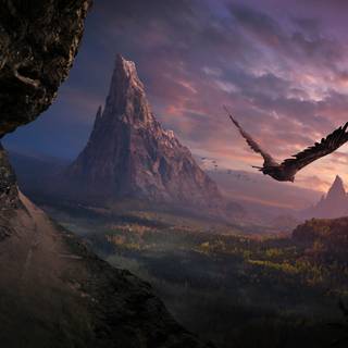 Eagle desktop 4k wallpaper