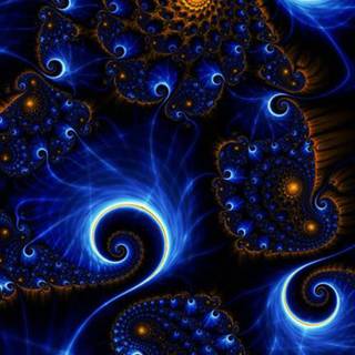 Peacock iPhone wallpaper