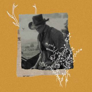 Phone RDR2 wallpaper