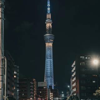 Tokyo night phone wallpaper