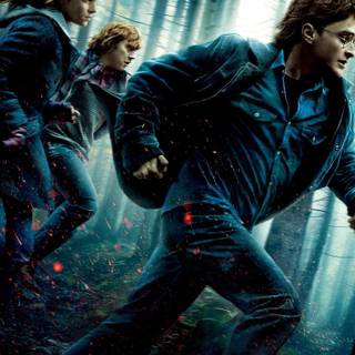 Harry Potter and The Deathly Hallows phone wallpaper