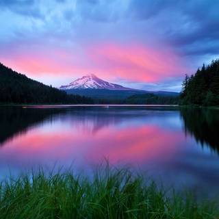 Pink sunset desktop wallpaper