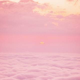 Pink sunset desktop wallpaper