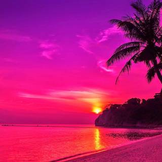 Pink sunset desktop wallpaper