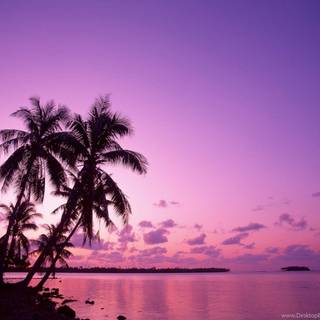 Pink sunset desktop wallpaper