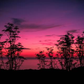 Pink sunset desktop wallpaper