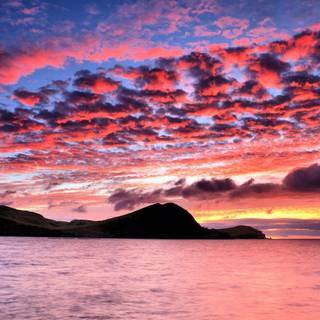 Pink sunset desktop wallpaper