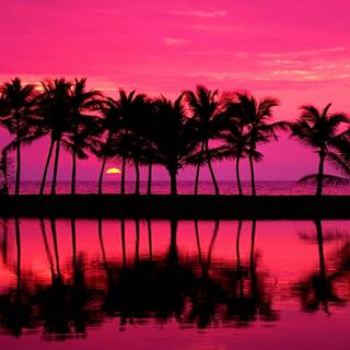 Pink sunset desktop wallpaper