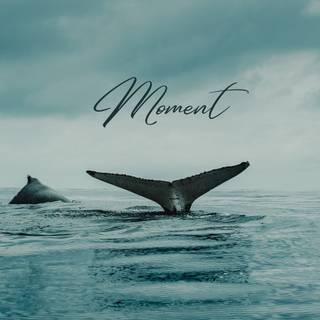 Turquoise desktop wallpaper