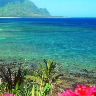 Turquoise desktop wallpaper