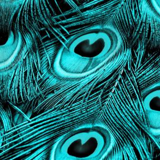 Turquoise desktop wallpaper