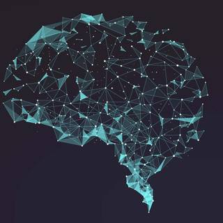 Brain desktop wallpaper