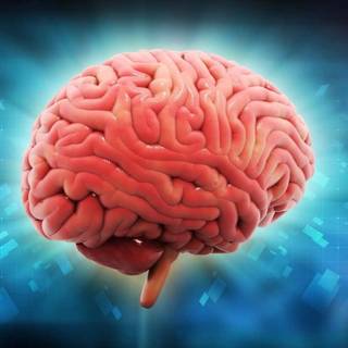 Brain desktop wallpaper