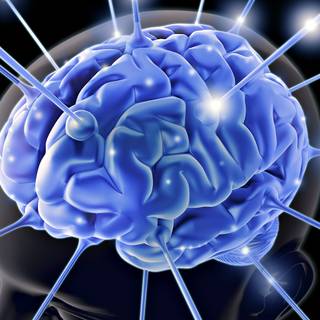 Brain desktop wallpaper