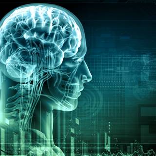 Brain desktop wallpaper