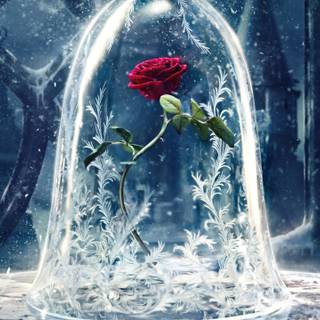Beauty and The Beast desktop wallpaper