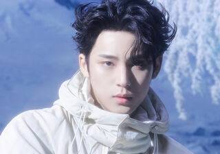 Kim Mingyu desktop wallpaper