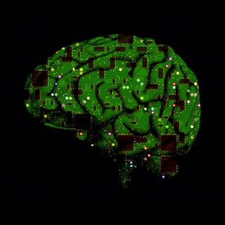 Brain desktop wallpaper