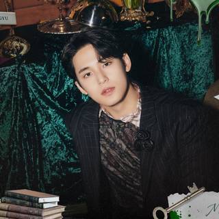 Kim Mingyu desktop wallpaper