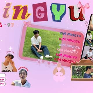 Kim Mingyu desktop wallpaper