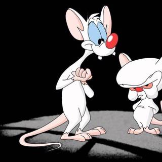 Brain desktop wallpaper