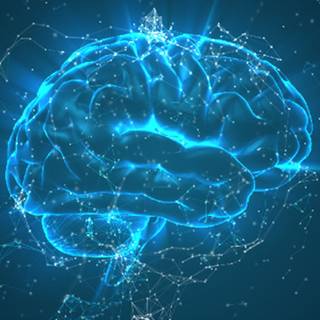 Brain desktop wallpaper