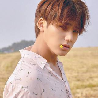 Kim Mingyu desktop wallpaper