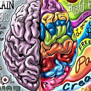 Brain desktop wallpaper