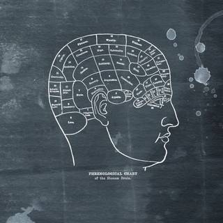 Brain desktop wallpaper