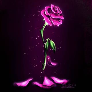 Beauty and The Beast desktop wallpaper