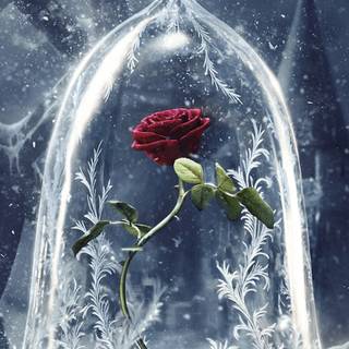 Beauty and The Beast desktop wallpaper