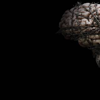 Brain desktop wallpaper