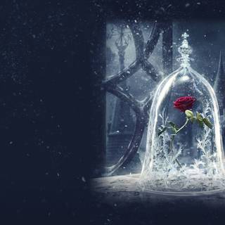 Beauty and The Beast desktop wallpaper