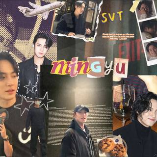 Kim Mingyu desktop wallpaper