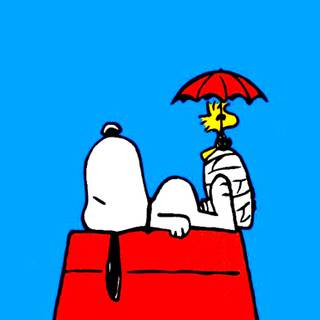 Desktop Snoopy wallpaper
