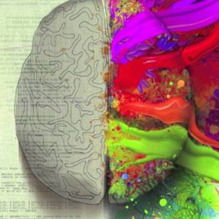 Brain desktop wallpaper
