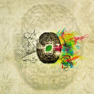 Brain desktop wallpaper