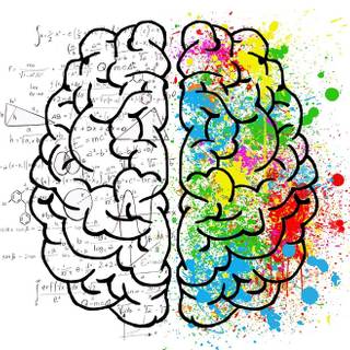 Brain desktop wallpaper