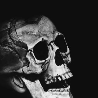 Skeleton mobile wallpaper