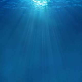 Underwater mobile wallpaper