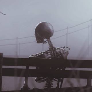 Skeleton mobile wallpaper